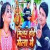 About Milan Hoi Mela Me Song