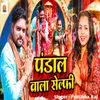 About Pandal Wala Selphy Song