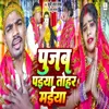 About Pujab Painya Tohar Devi Maiya Song