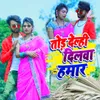 About Tod Deli Dilwa Hamar Song