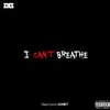 About I Can't Breathe Song