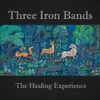 Three Iron Bands