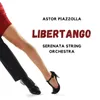 About Libertango Song