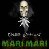 About Mari Mari Song