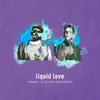 About Liquid Love Song