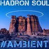 Hadron Soul