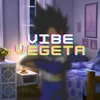About Vibe Vegeta Song