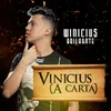 About Vinicius (A Carta) Song