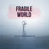 About Fragile World Song