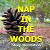 Nap in the Woods Sleep Meditation