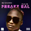 About Freaky Gal Song
