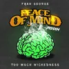 Too Much Wickedness (Peace of Mind Riddim)