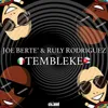 Tembleke 2k18 Samuel DJ Reggaeton Mix