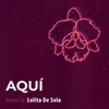 About Aquí (Remix) Song