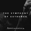 The Symphony of Extremes