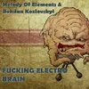 Fucking Electro Brain