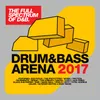 Enter The Void - Drum&amp;BassArena 2017