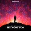 About Without You Song