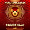 About Summer Slam Song