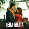 About Tera Ghata Song