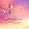 About Naam Mile tan Jivaa Song