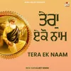 About Tera Ek Naam Song