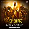 About Mera Gobind Song