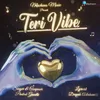 About Teri Vibe Song