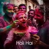 About Holi Hai Song