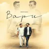 About Bapu Song