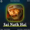 About Sai Nath Hai Song