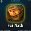About Sai Nath Song