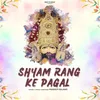 About Shyam Rang Ke Pagal Song