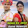 About Hawa Ke Jaise Aana Hawaye Song