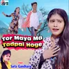 About Tor Maya Ma Tadpai Hoge Song