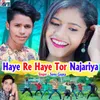 About Haye Re Haye Tor Najariya Song