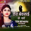 About Teri Bewafai Ke Charche Song