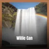 Willie Can