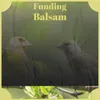 Funding Balsam