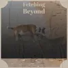 Fetching Beyond