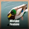 Mistake Fleabane