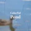 Colorful Pond