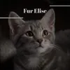 Fur Elise