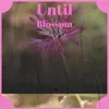 Until Blossom