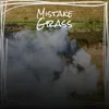 Mistake Grass