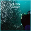 Waters Silence