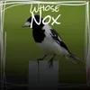 Whose Nox