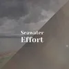 Seawater Effort