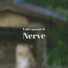 Unfrequented Nerve