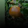 Neither Hope
